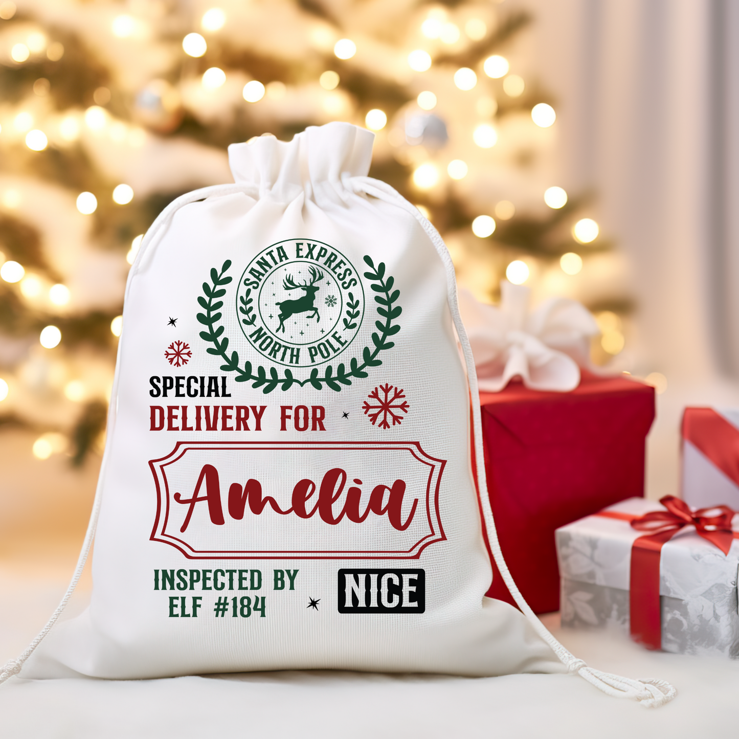 Personalized Santa Sack PRE-ORDER